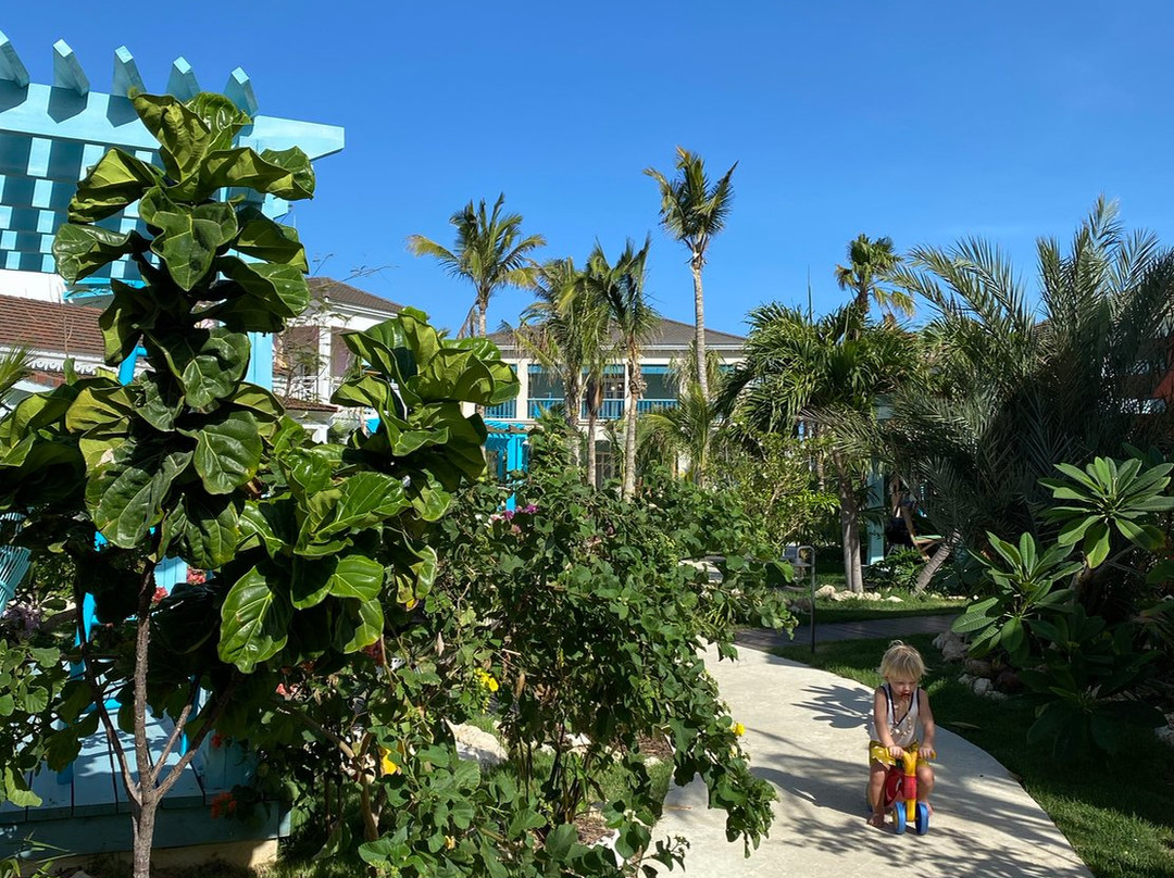 阿鲁巴布劳德沃克酒店主图