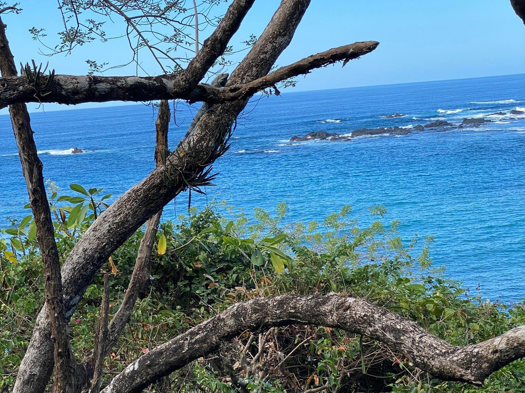 Treetops B&B Inn主图