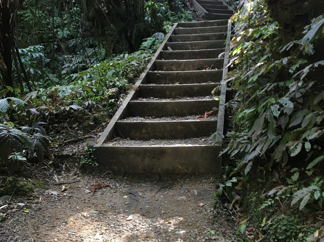 Ruakuri Walk-怀托摩洞穴必去景点