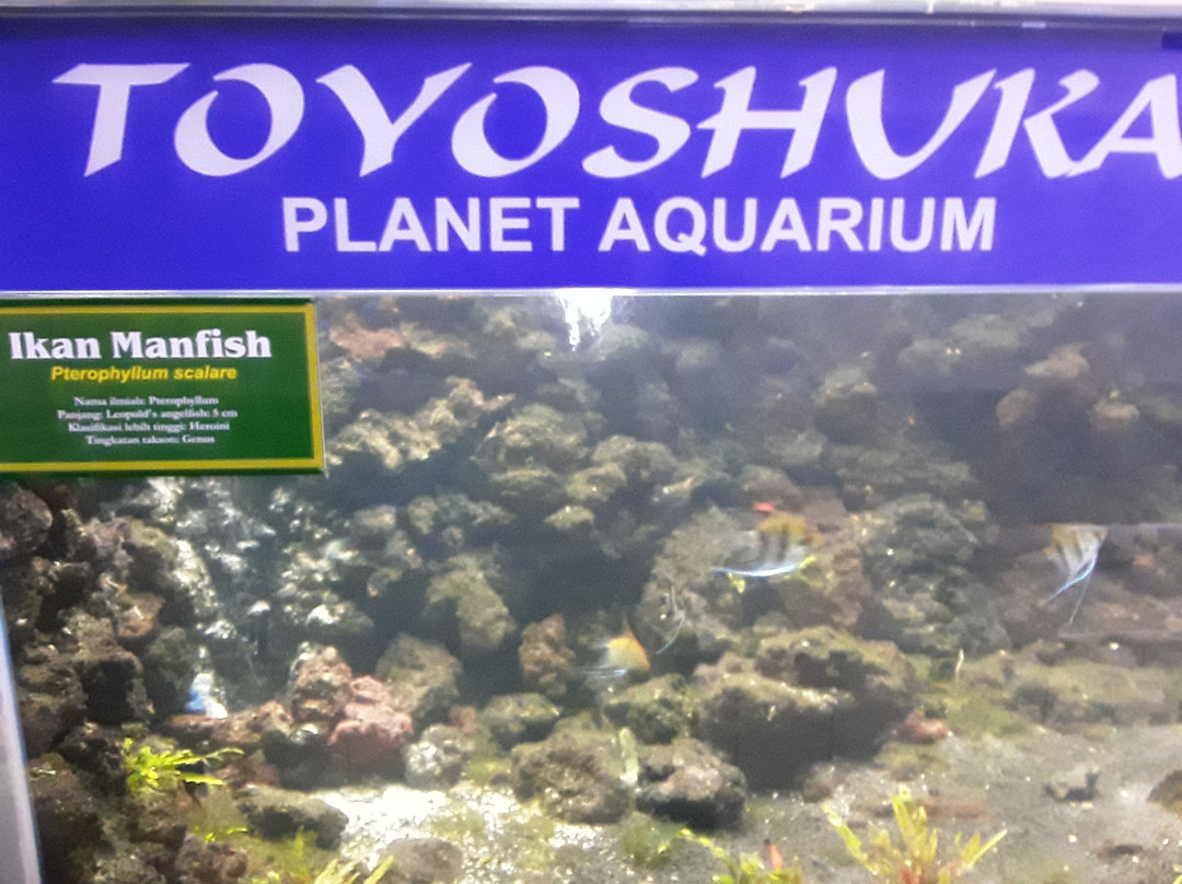 Taman Akuarium Besar Purbasari-普禾加多必去景点