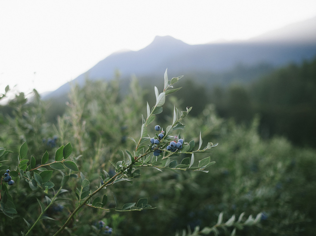 Klaassen Farms-奇利瓦克必去景点