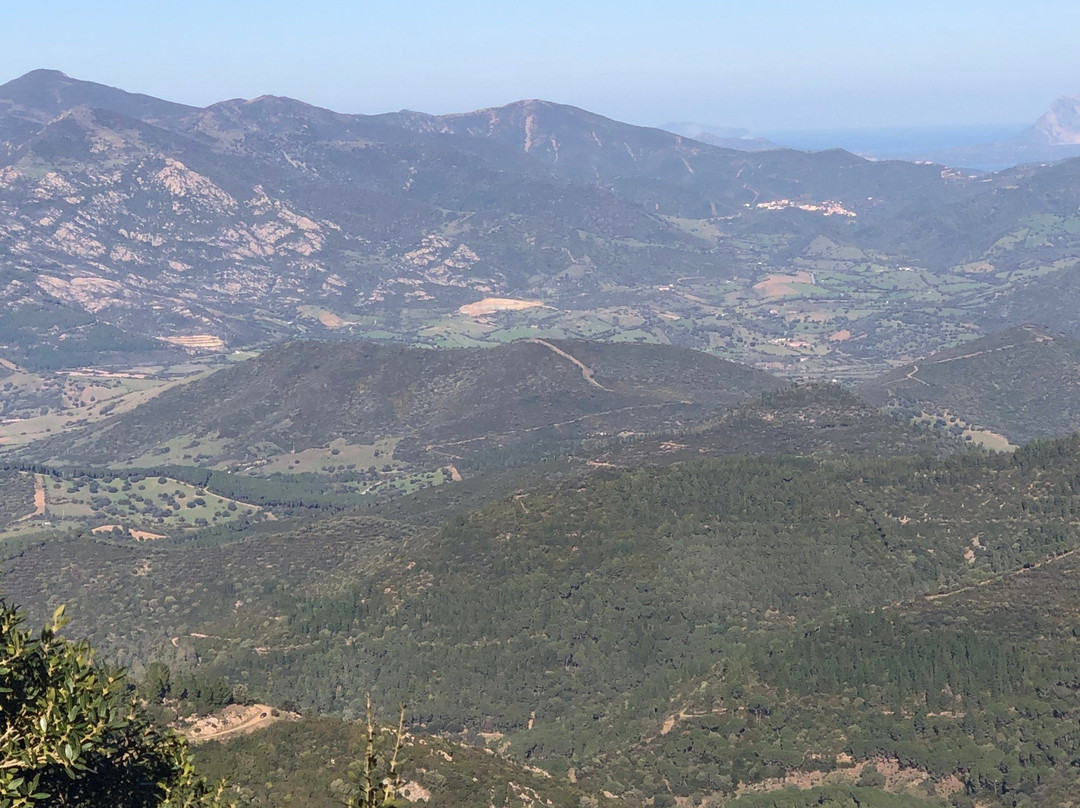 Lode餐馆和美食-Ristorante S.Anna