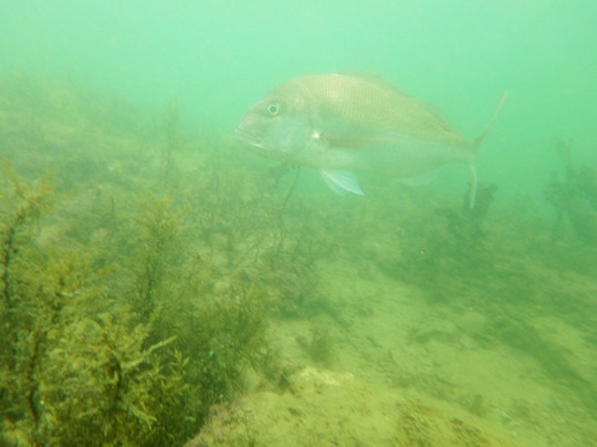 Ise-Shima National Park-三重县必去景点