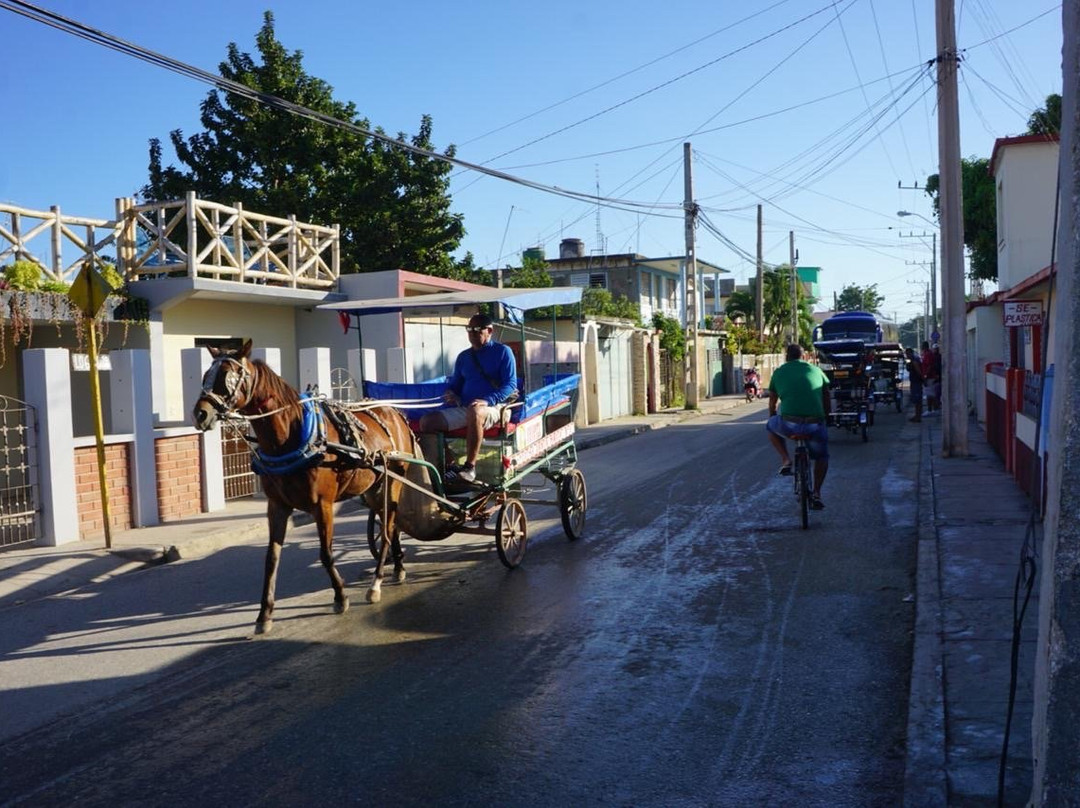 Casa Arletty Santa Marta主图