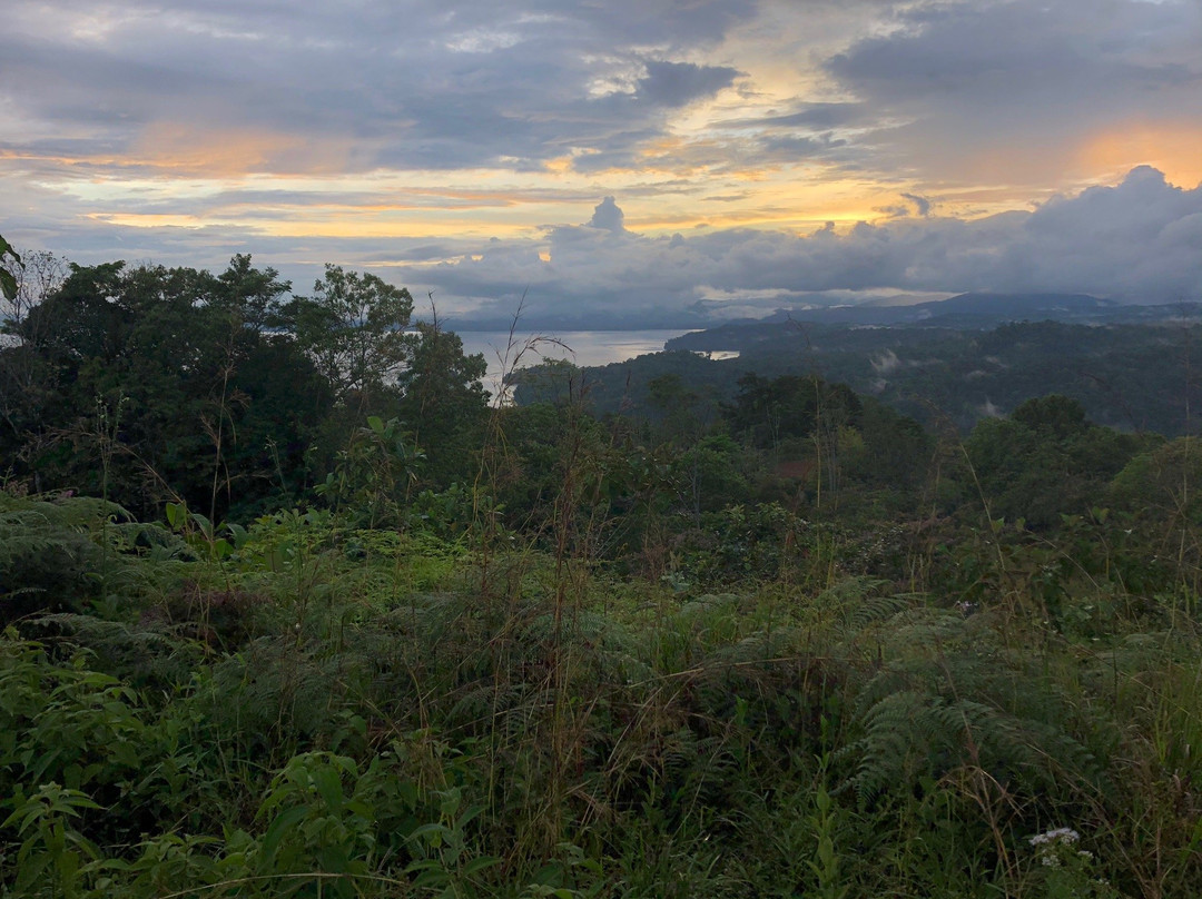 奥萨凉亭山林小屋主图
