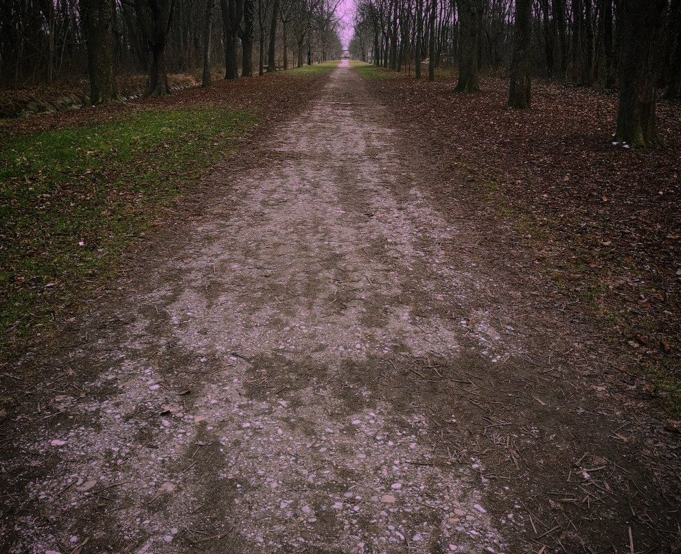 Akademiepark Wiener Neustadt-维也纳新城必去景点