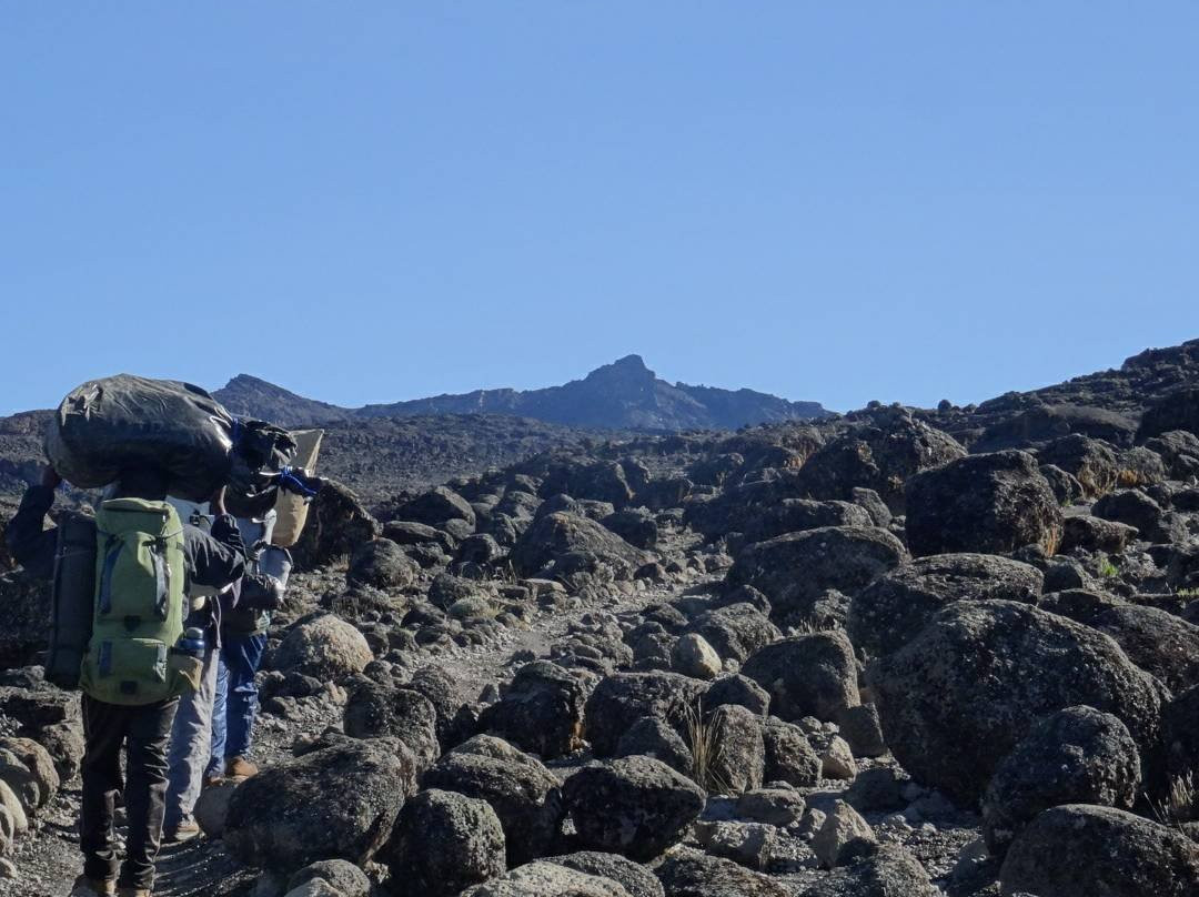 Alligator Trekking and Safaris-阿鲁沙必去景点