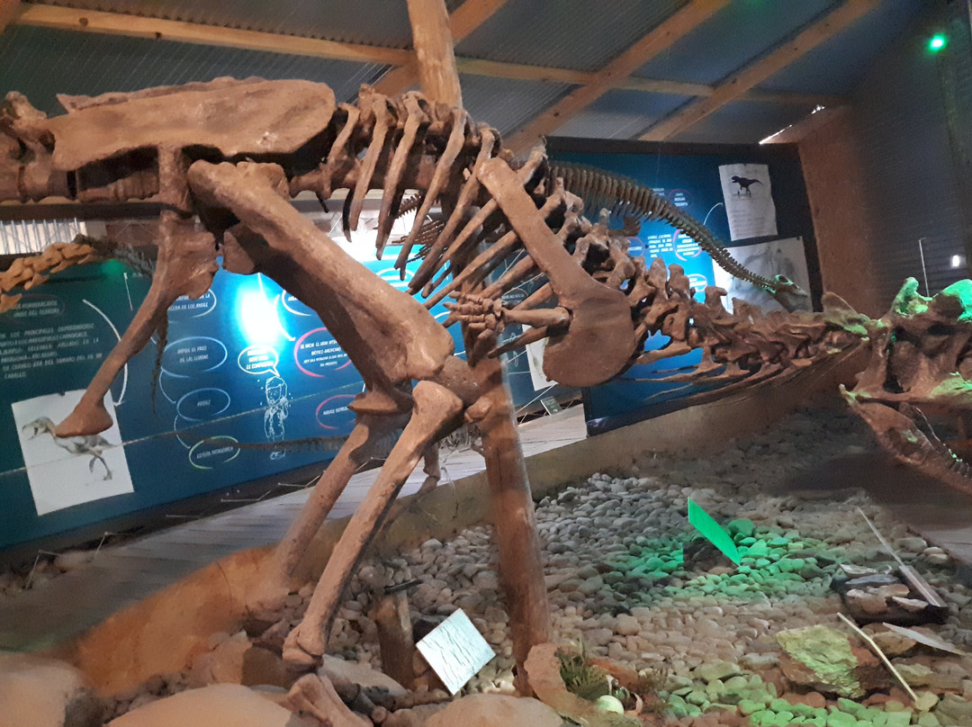 El Calafate Historical Interpretation Center-埃尔卡拉法特必去景点