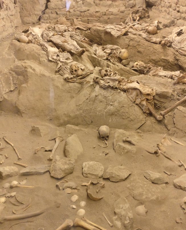 Museo Delle Mummie Roccapelago景点图片