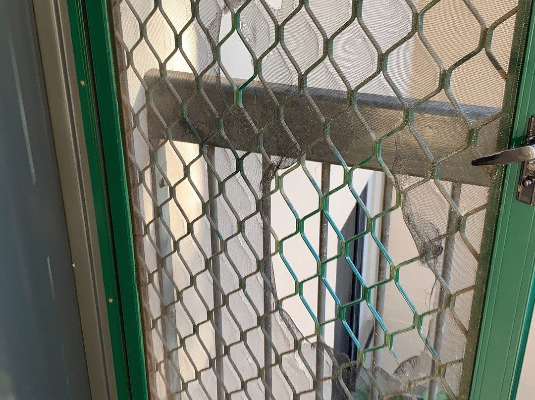 卡尔巴里棕榈海滩酒店主图