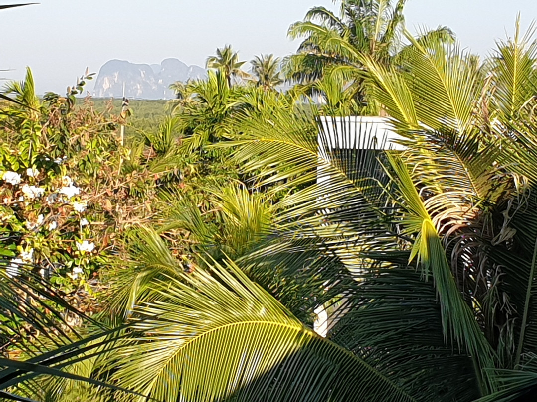 The ShellSea Krabi主图