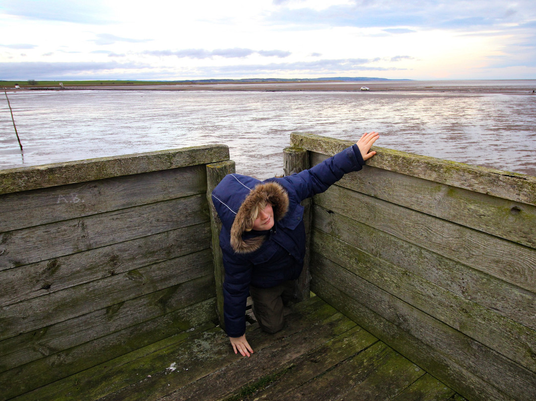 Holy Island Hikes景点图片