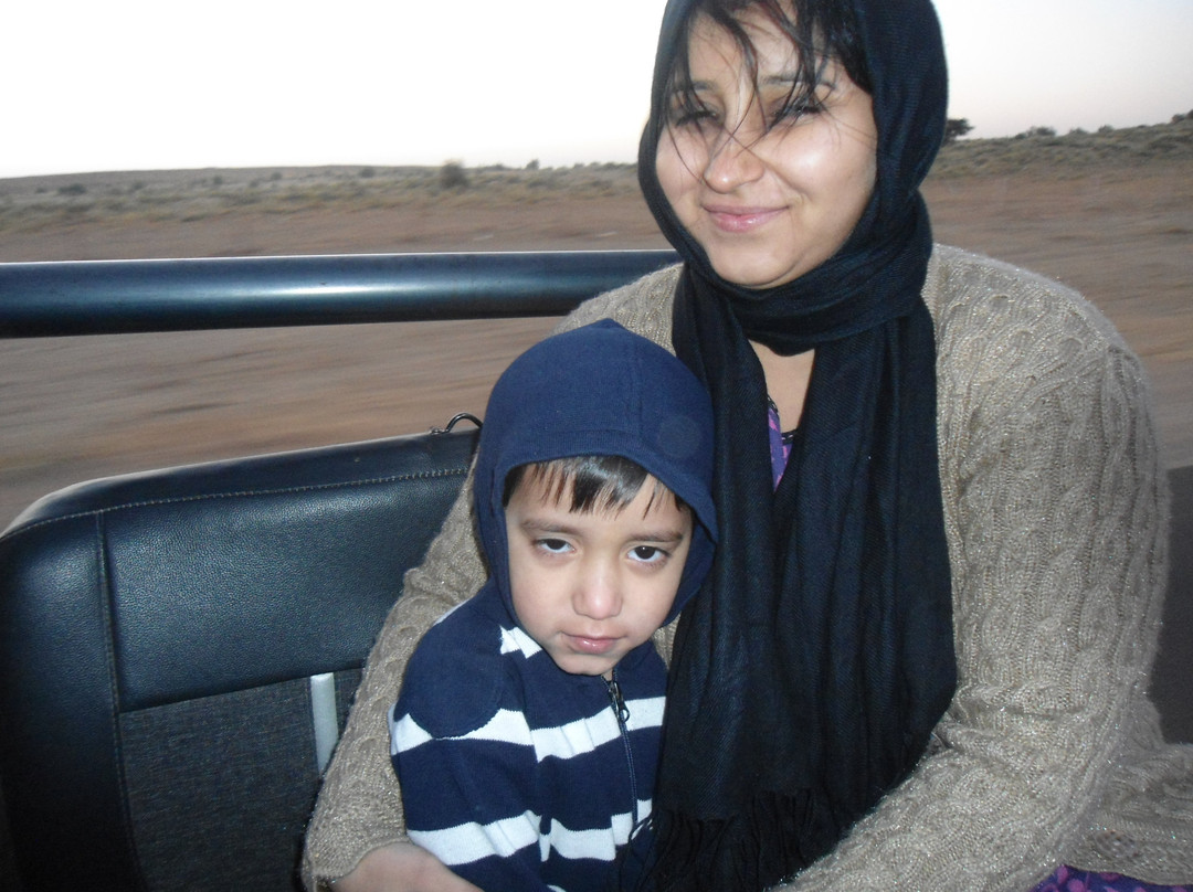 Jeep Safari Sam Sand Dunes Jaisalmer景点图片