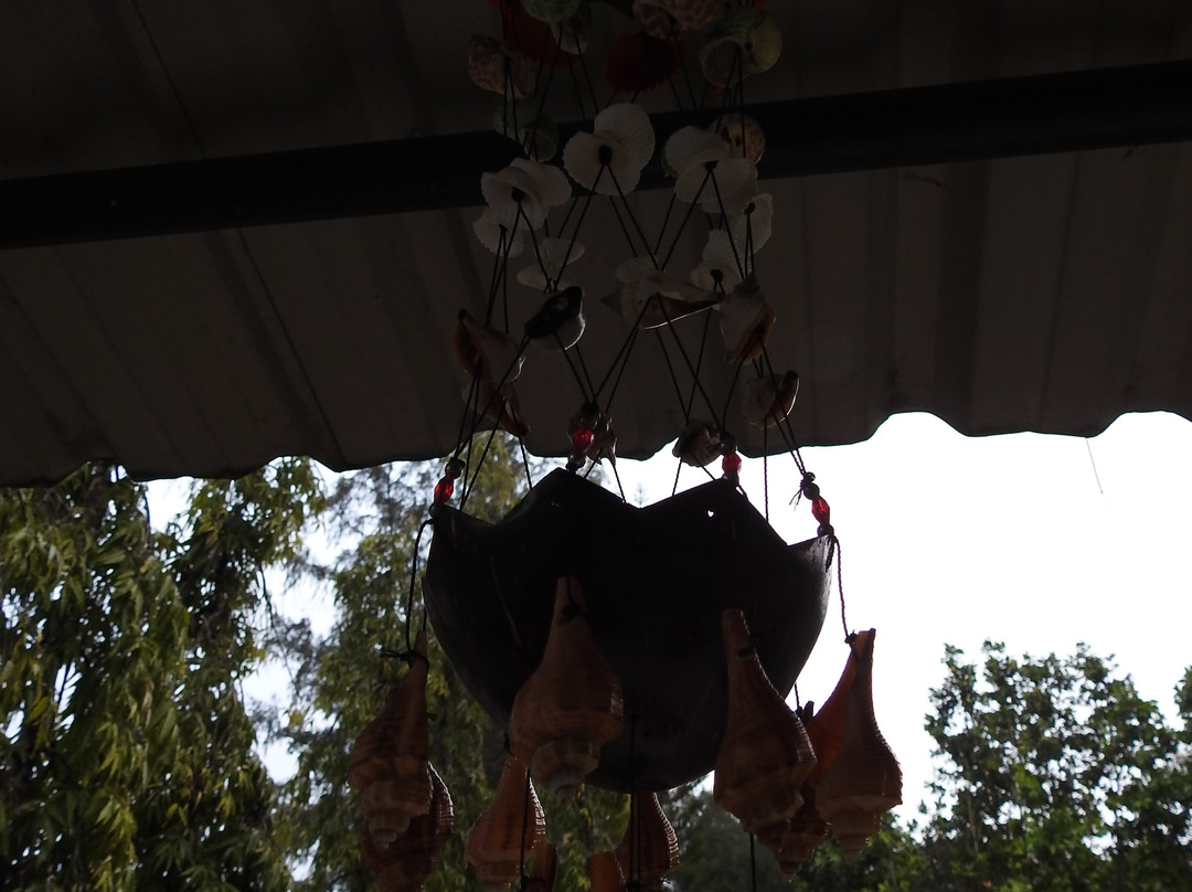 Samudrika Marine Museum-布莱尔港必去景点