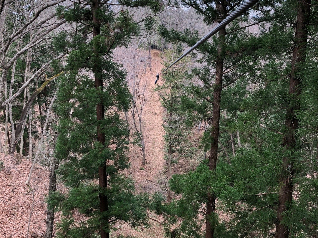 Forest Adventure Chichibu-秩父市必去景点
