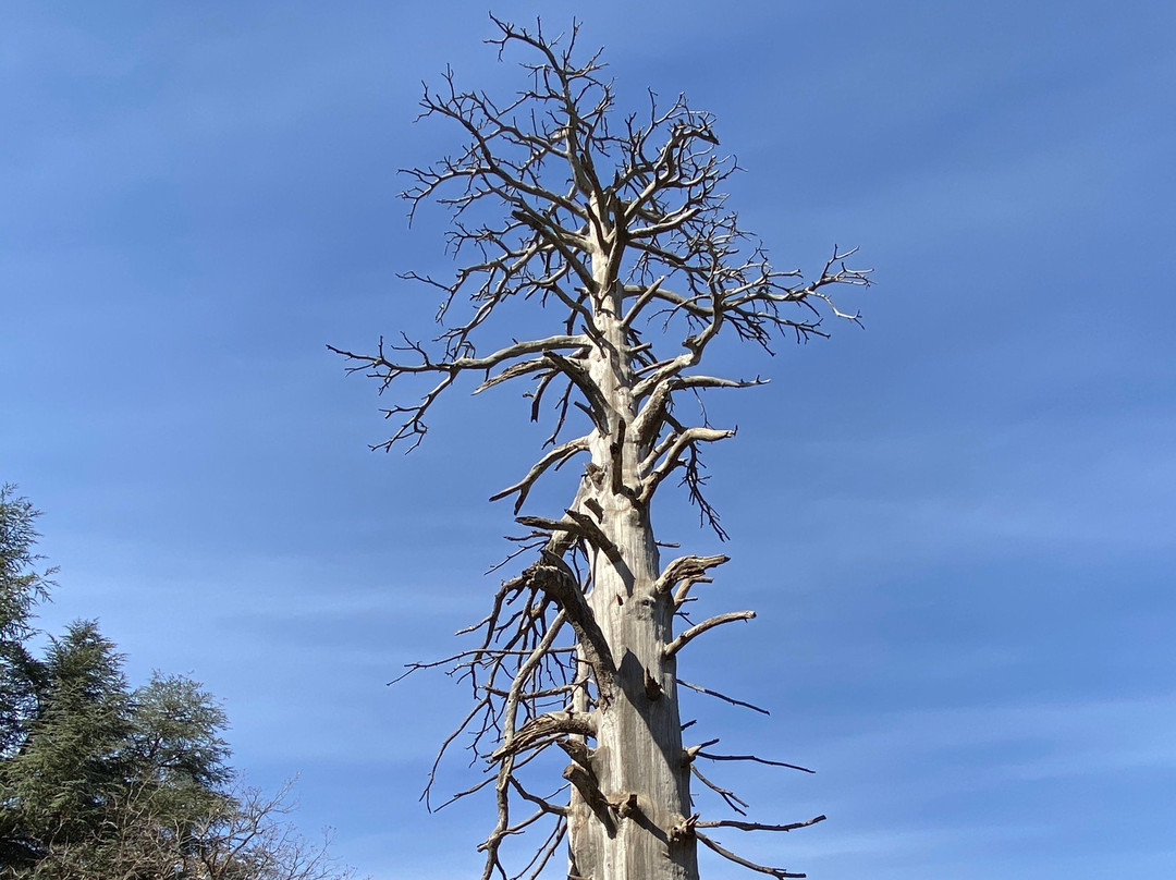 Pure Maroc Journey Design-非斯必去景点