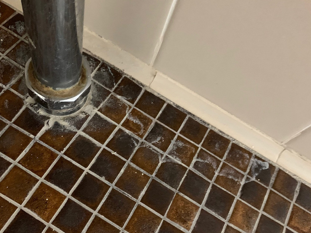 阿德莱德艾美公寓式酒店主图