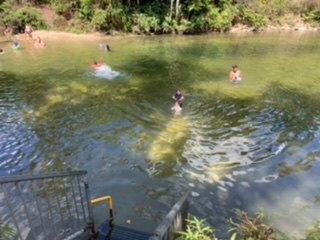 Alligators Nest-Tully必去景点