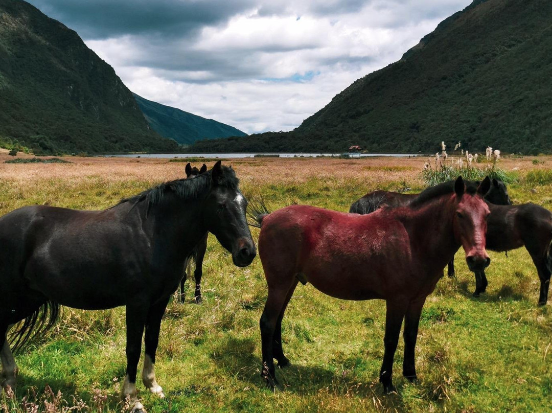 Marc King-昆卡必去景点