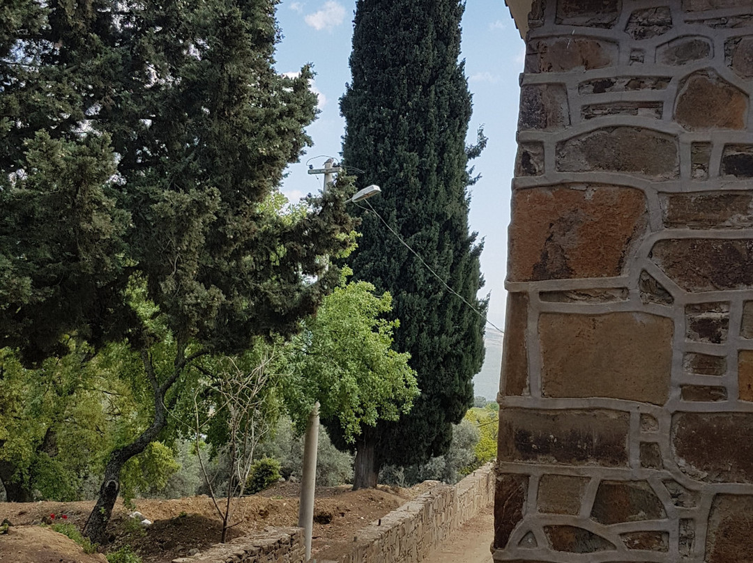 İmam-i Birgivi Mehmet Efendi Türbesi-Birgi必去景点