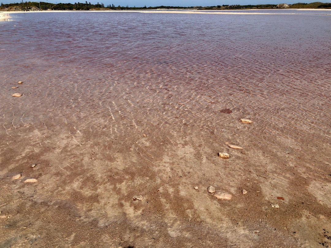 Rottnest Island Salt Lakes景点图片