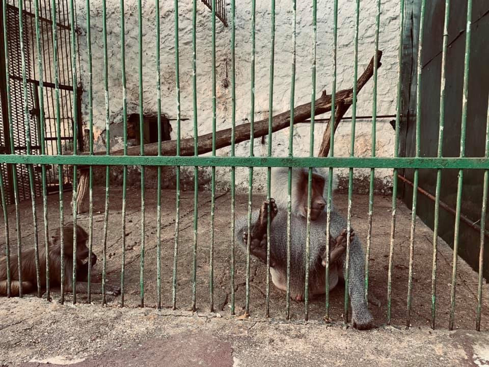 Zoo Bitola-Bitola必去景点