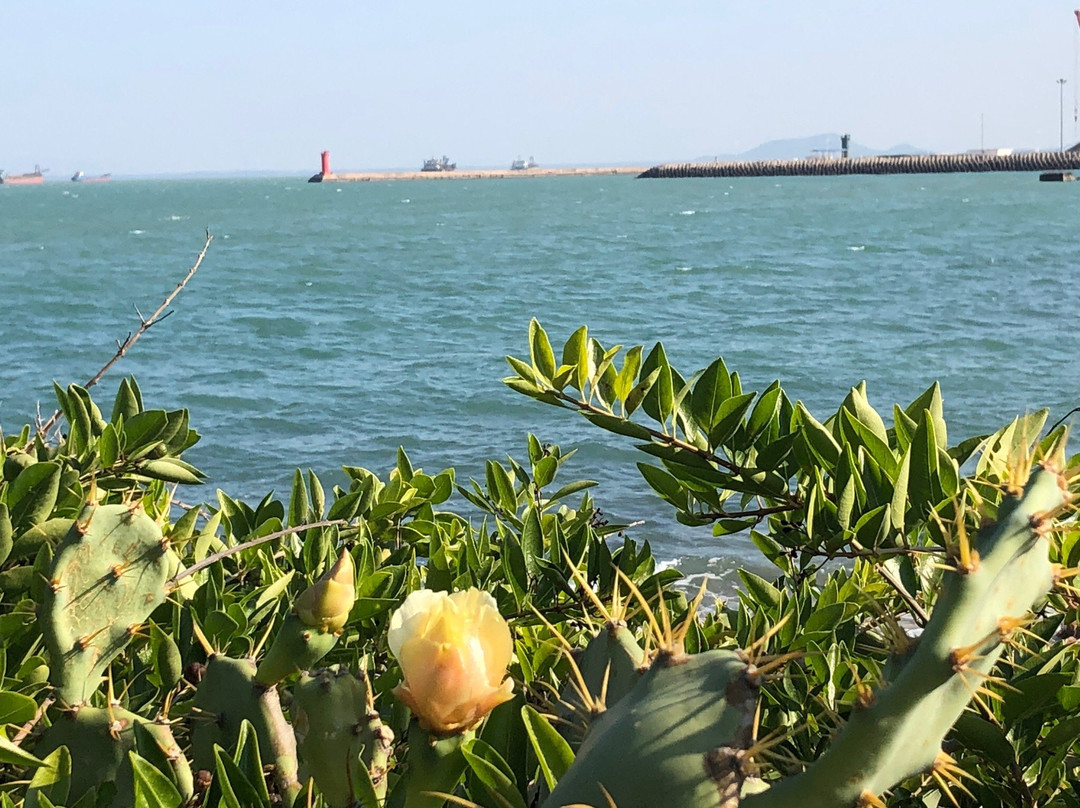 鱼麟洲-东方市必去景点