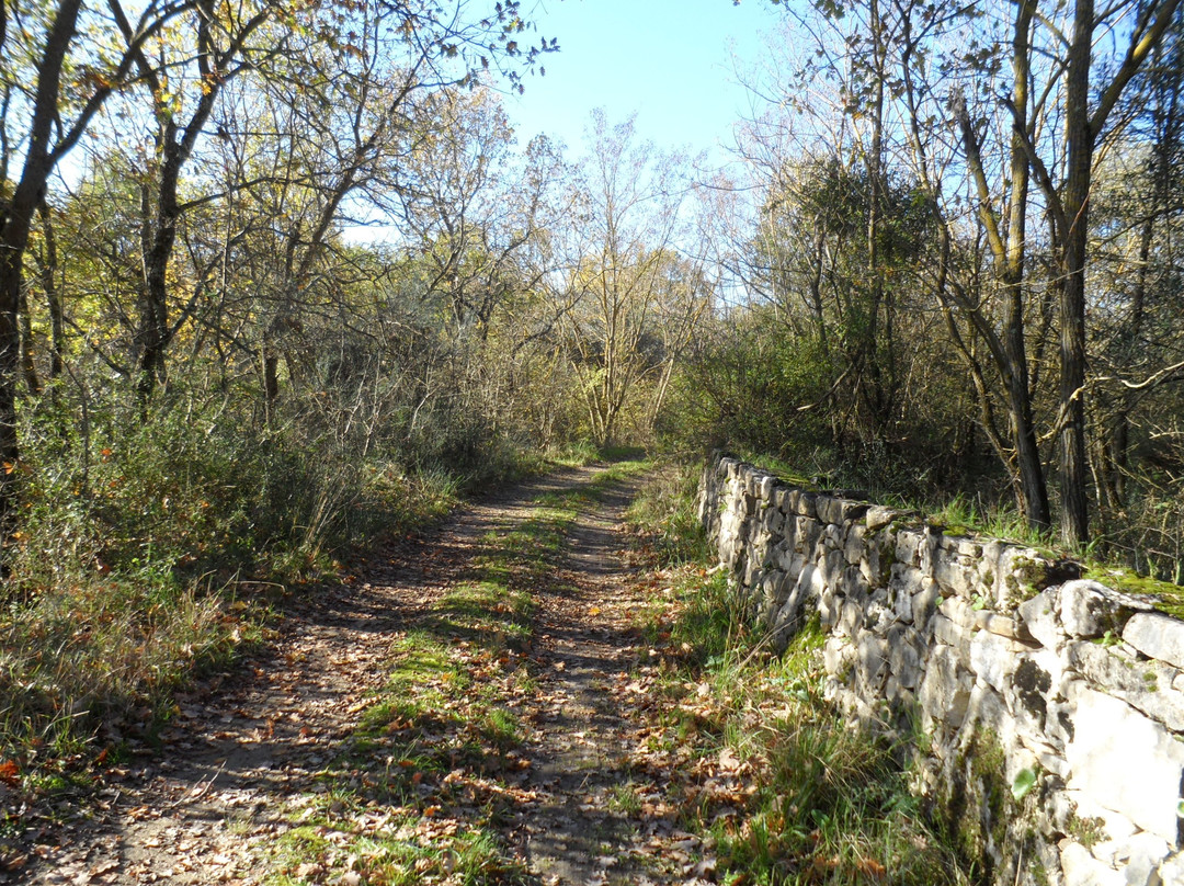 Cammino del Rosario景点图片