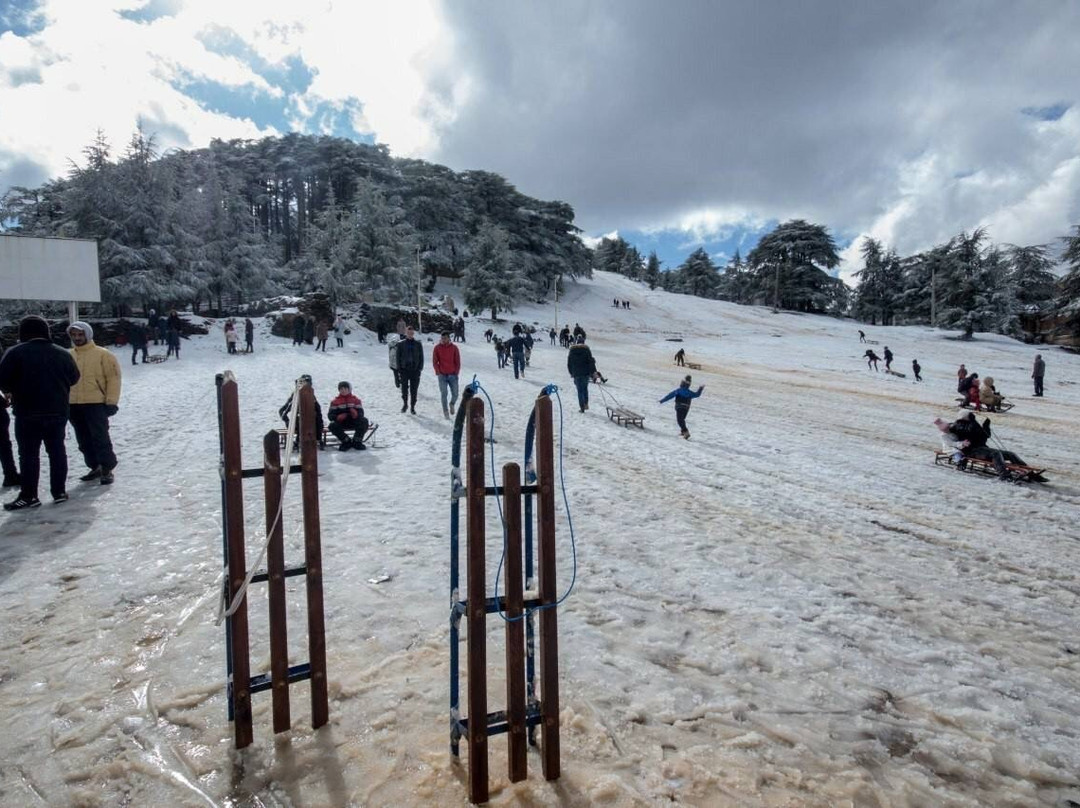 Ski Club景点图片