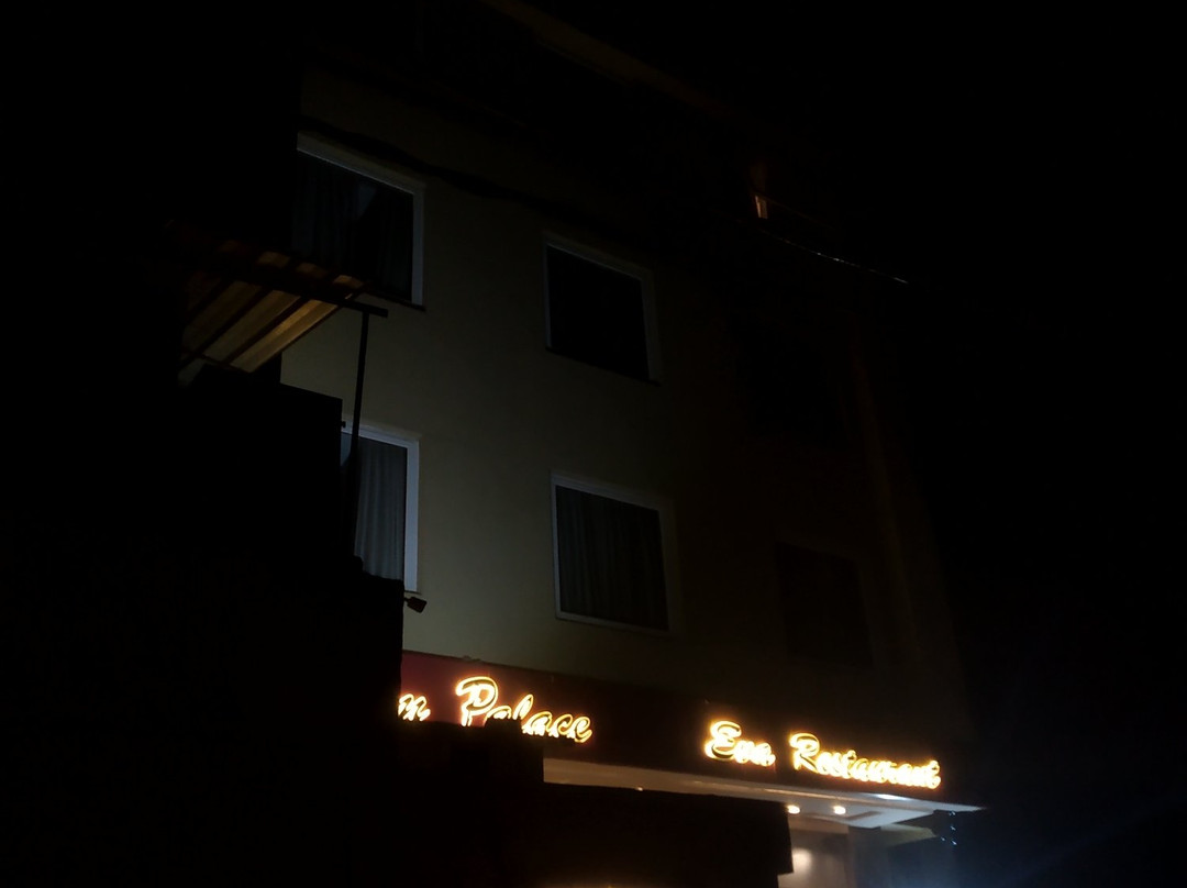 Capital O 15351 Vikram Palace主图