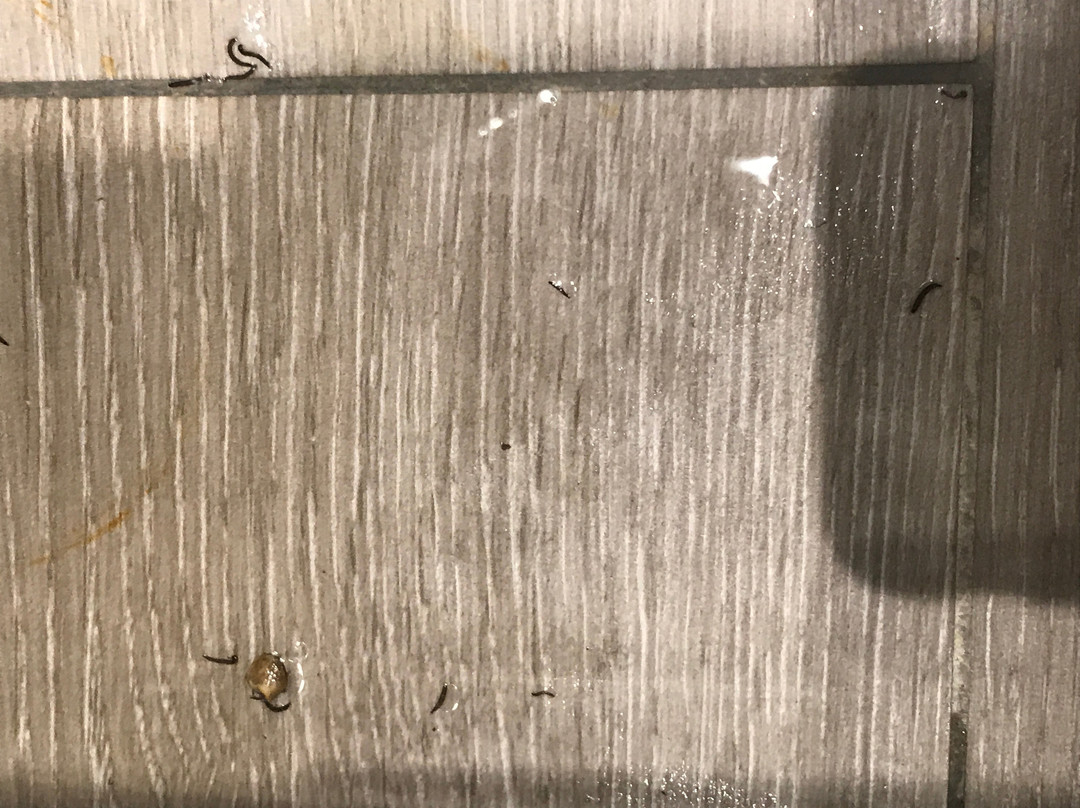 潘普洛纳广场酒店主图