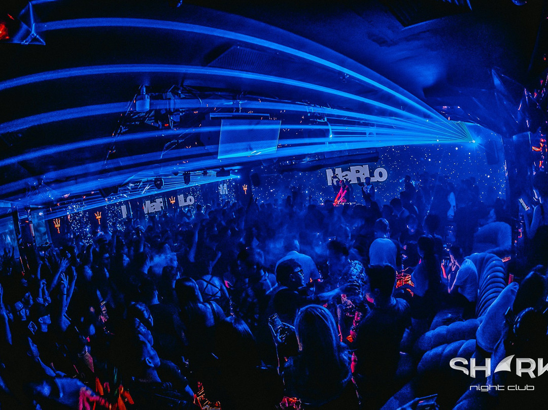 Shark Club Hanoi-河内必去景点