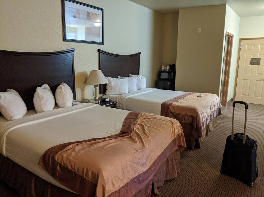 Baymont by Wyndham Snyder主图