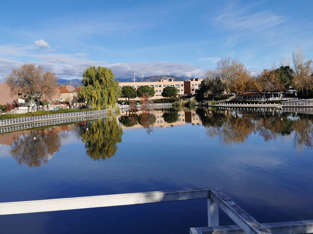 Parque de la Laguna del Carrizal-Collado Villalba必去景点