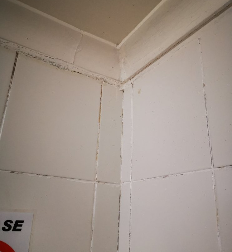 Ridgeview Lodge主图