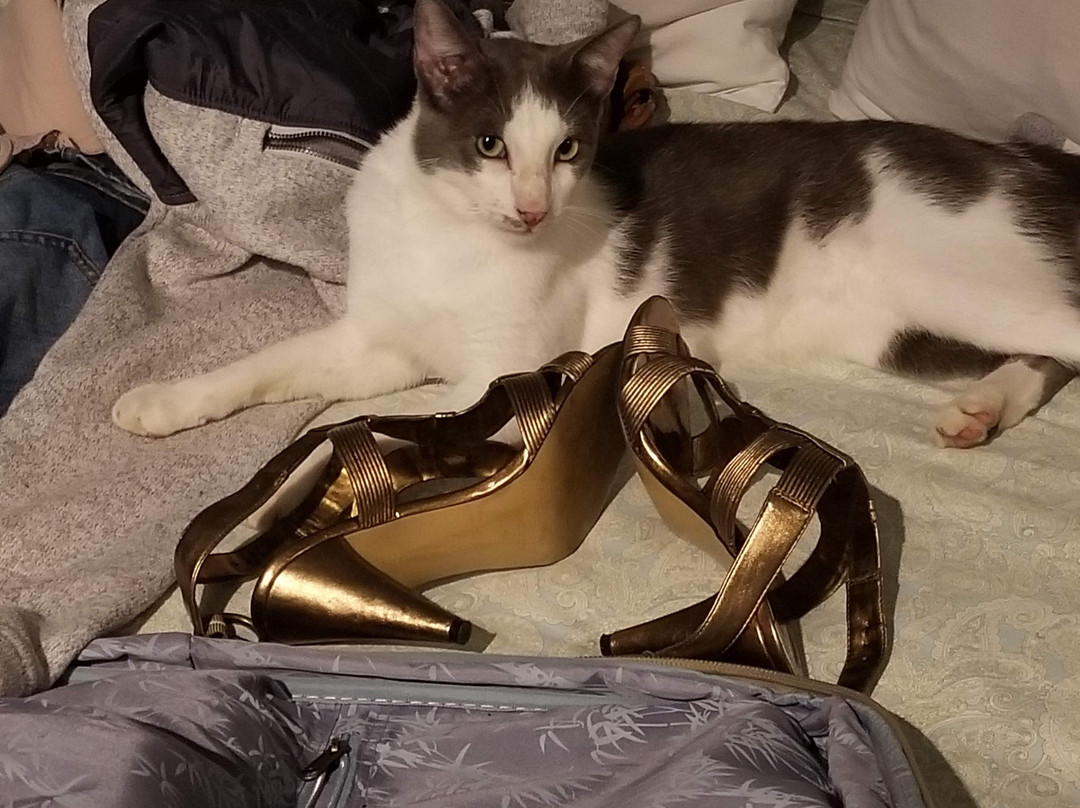 Tribal Tulum-图伦必去景点