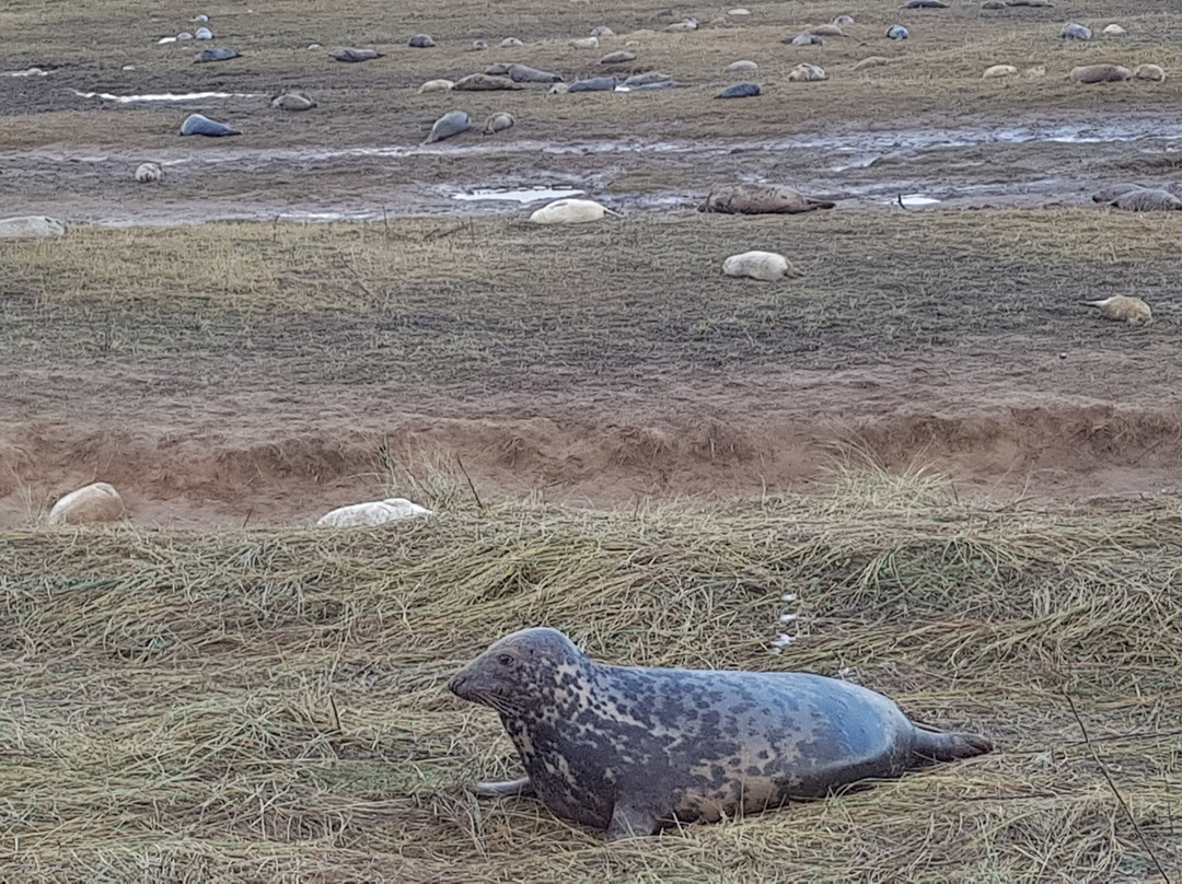 Pigeon Cottage主图