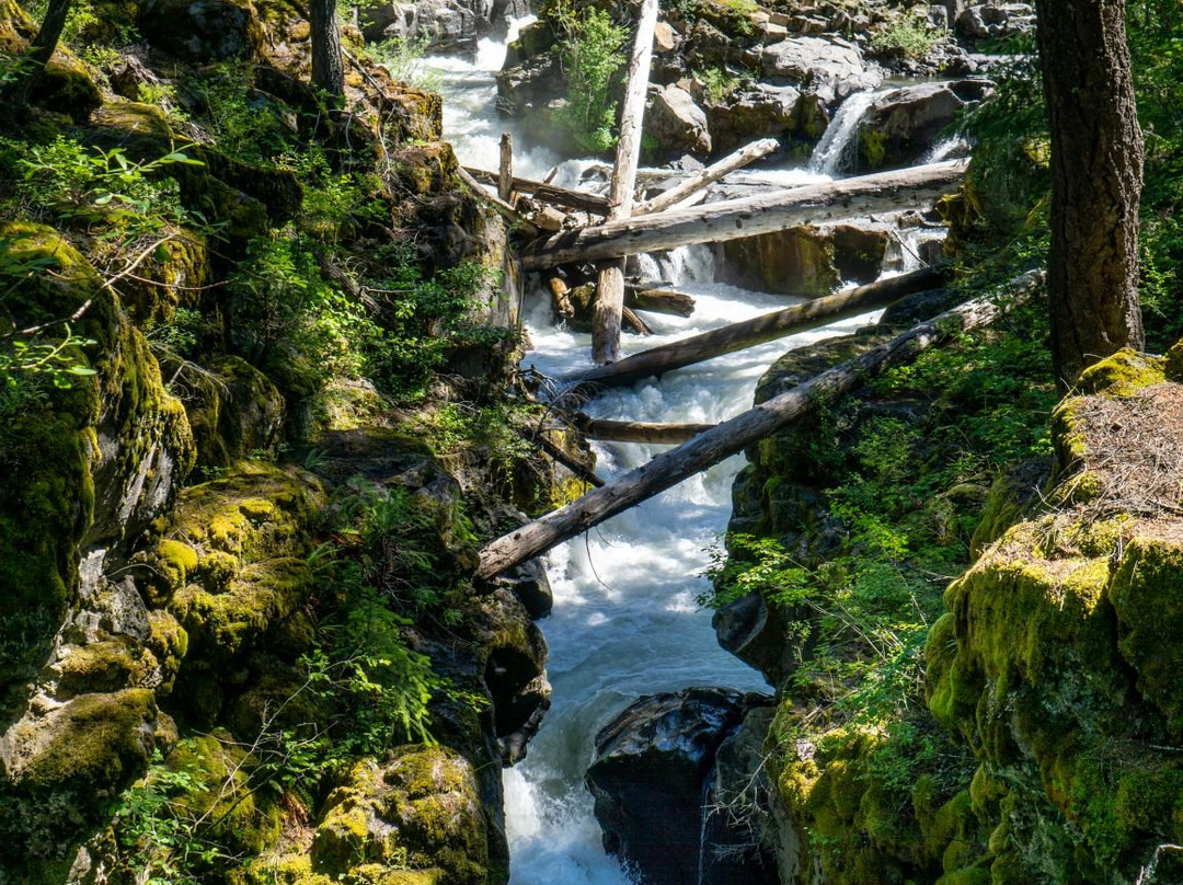 Rogue River Gorge Viewpoint-Prospect必去景点