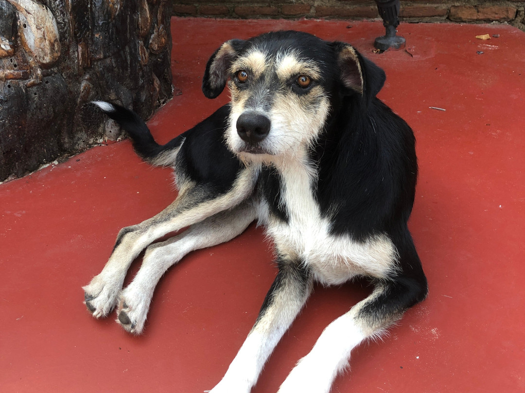 Kande Beach-Nkhata Bay必去景点