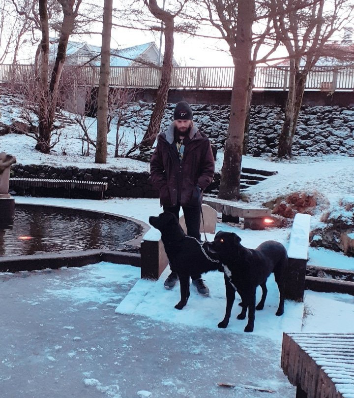 Hellisgerdi Park-哈夫纳夫约杜尔必去景点