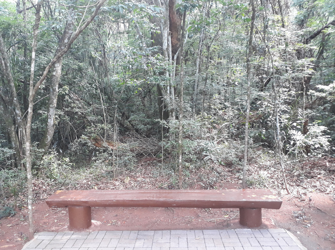 Parque do Alvorecer景点图片