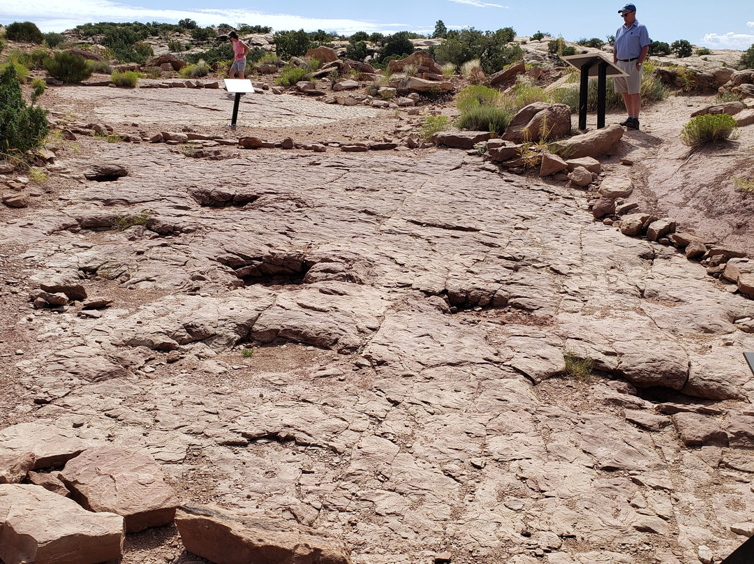 Copper Ridge Dinosaur Trackways景点图片