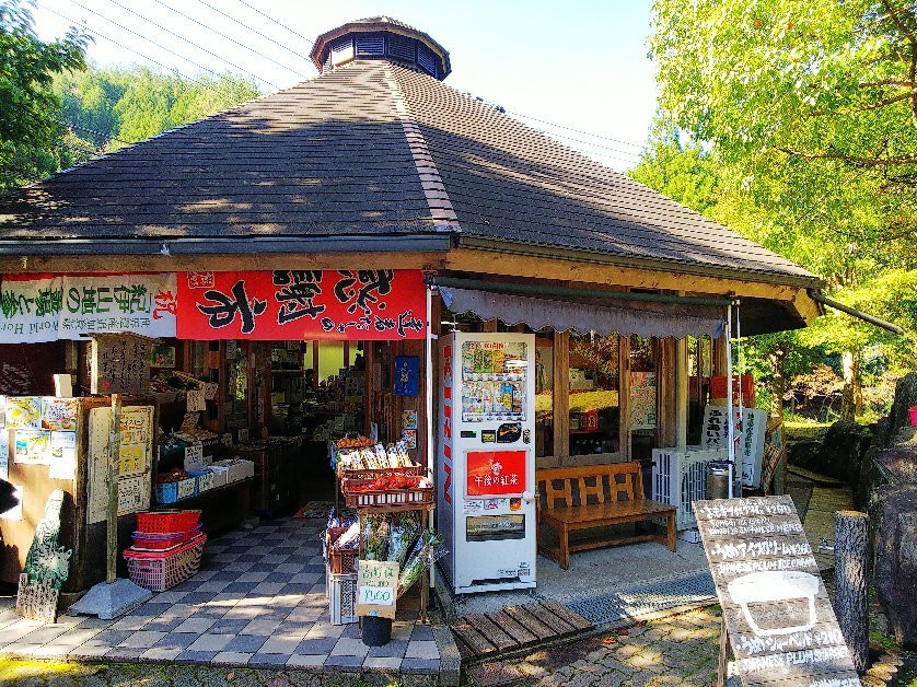 Kumano Kodo Nakahechi Michi-no-Eki景点图片