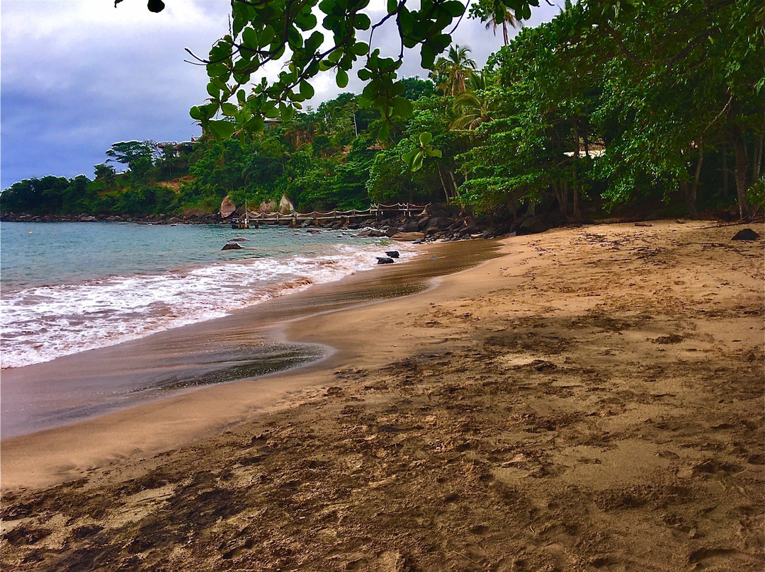 Pacuiba Beach-伊利亚贝拉必去景点