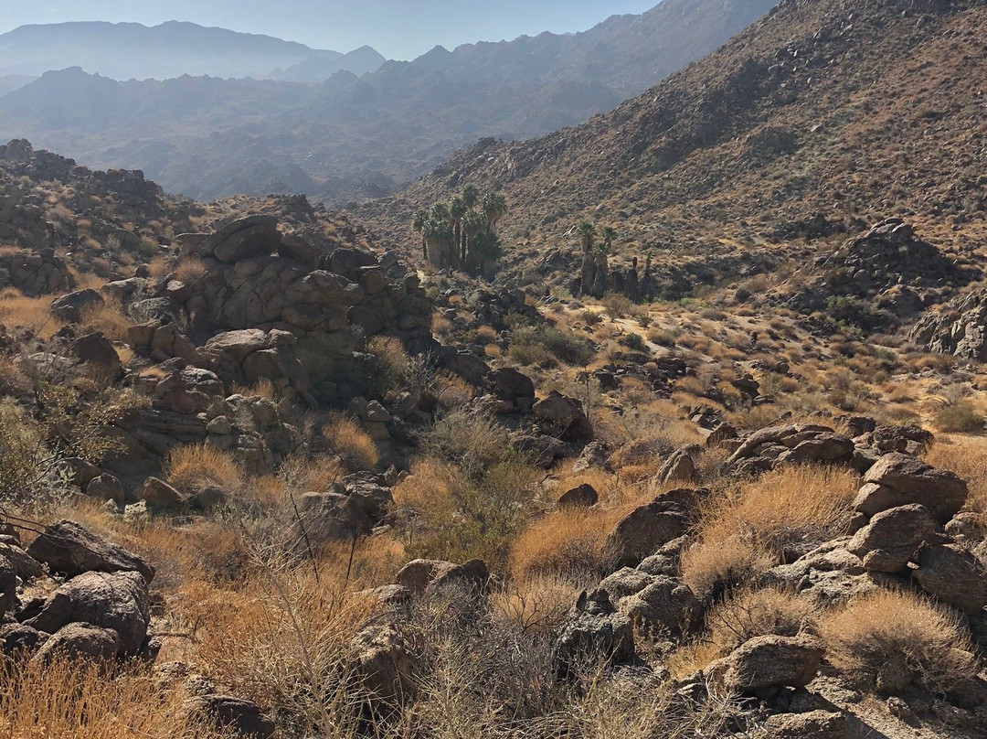 Art Smith Trail-棕榈沙漠必去景点