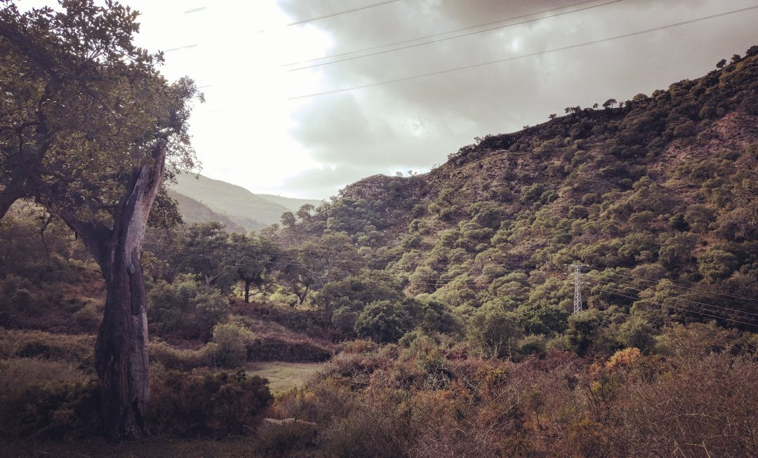 Sendero Rio de la Miel景点图片