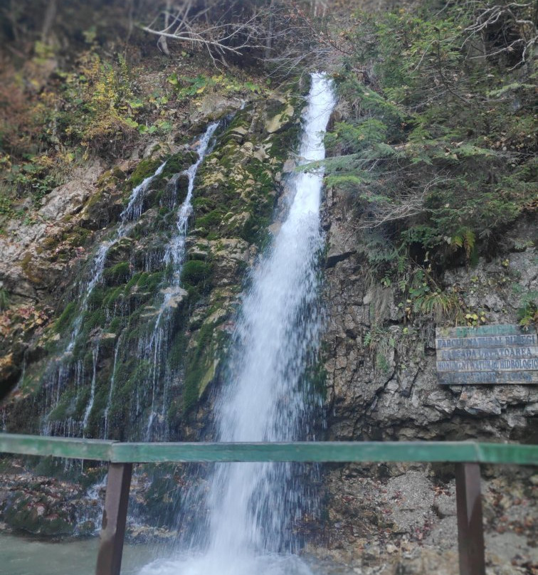 Cascada Urlatoarele景点图片