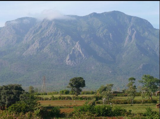 Nilgiri Mountains景点图片