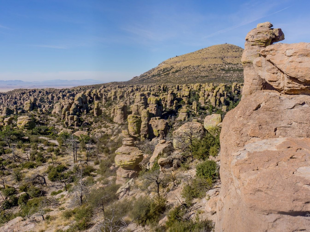 Massai Point-Willcox必去景点