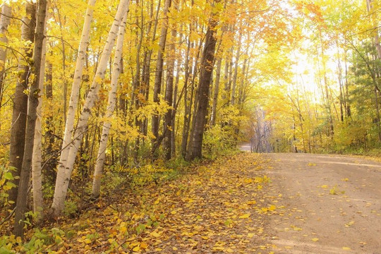 Pillsbury State Forest-Pillager必去景点